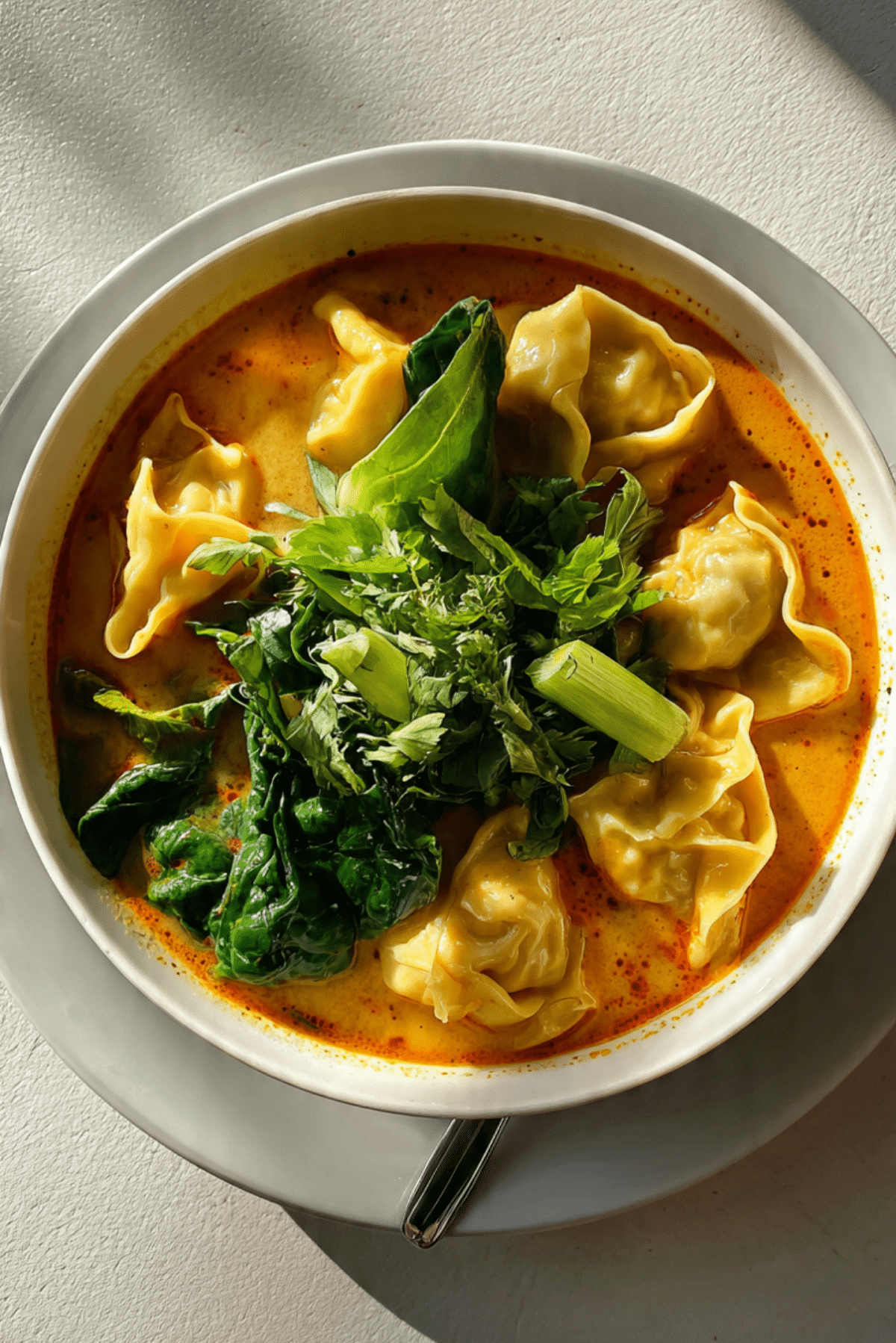 THAI RED CURRY CHICKEN WONTON SOUP