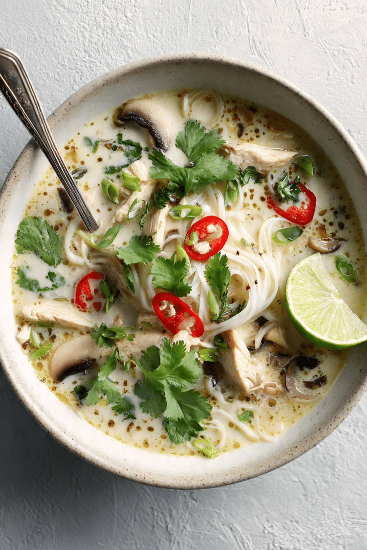 Thai Coconut Chicken Soup